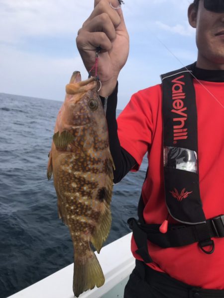 アマテラス 釣果