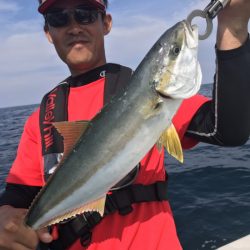 アマテラス 釣果