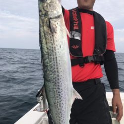 アマテラス 釣果