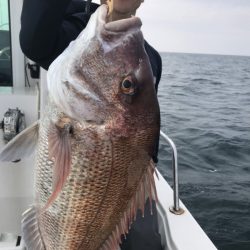 アマテラス 釣果