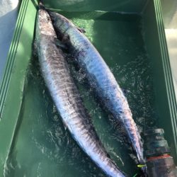 海楽隊 華栞丸 釣果