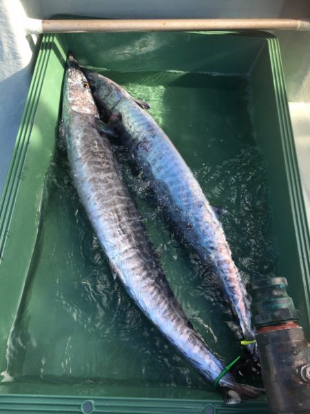 海楽隊 華栞丸 釣果