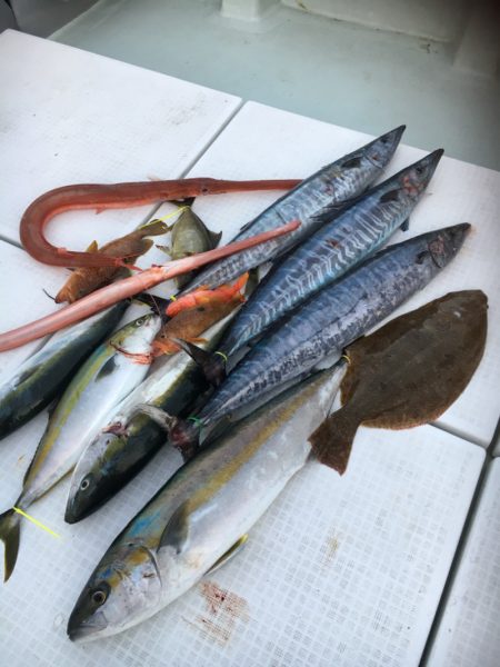 海楽隊 華栞丸 釣果