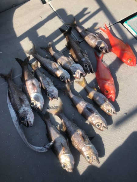 ＴＡＲＯＭＡＲＵ 釣果