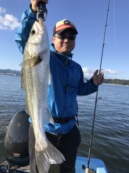 アマテラス 釣果