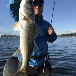 アマテラス 釣果