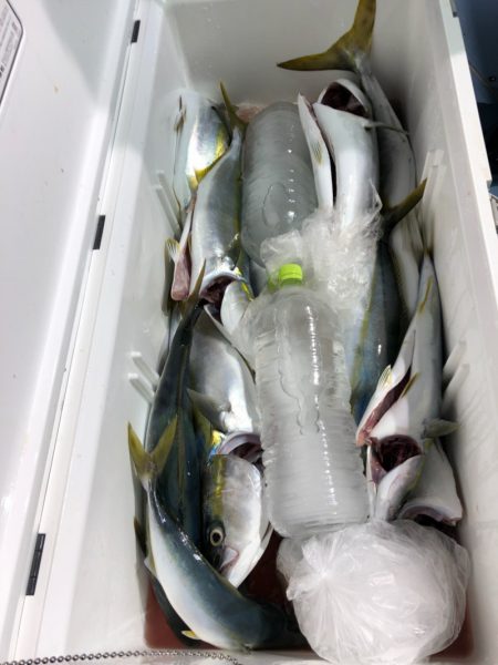 第二八坂丸 釣果