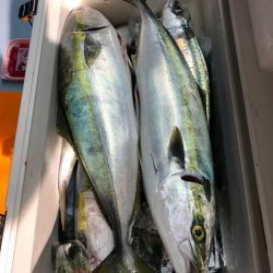 第二八坂丸 釣果