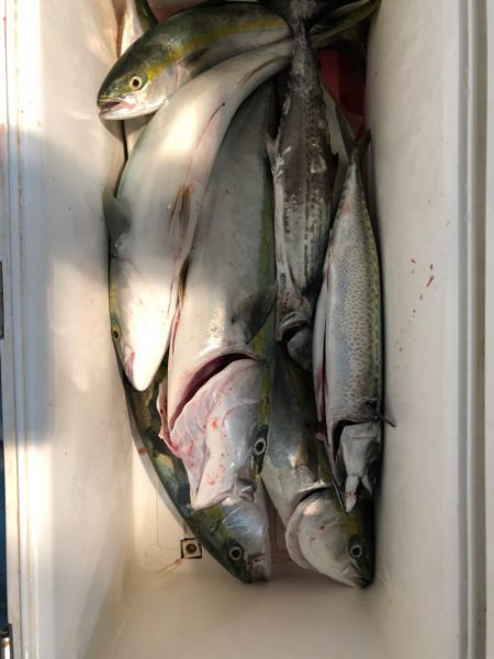 第二八坂丸 釣果