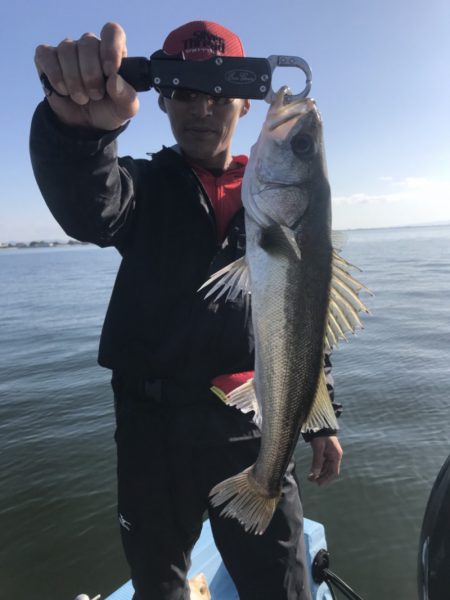 アマテラス 釣果