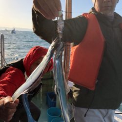 ヤザワ渡船 釣果