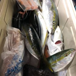 第二八坂丸 釣果