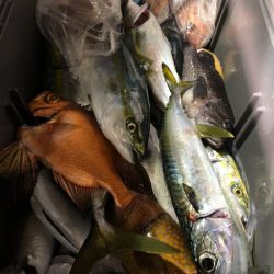 第二八坂丸 釣果