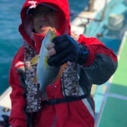 丸万釣船 釣果