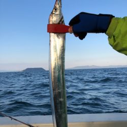 末広丸(熊本) 釣果