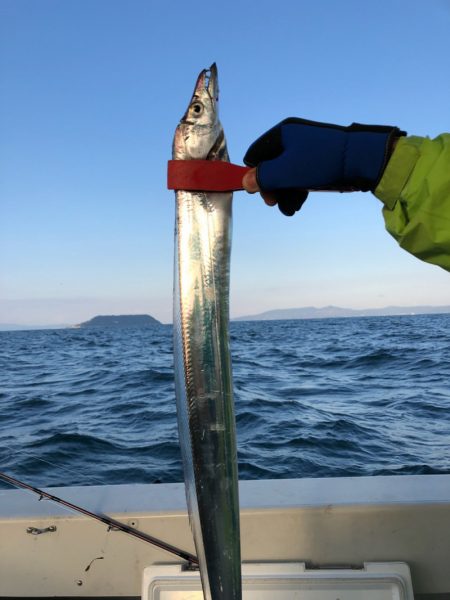 末広丸(熊本) 釣果