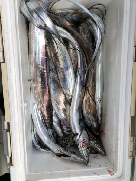 末広丸(熊本) 釣果