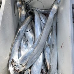 末広丸(熊本) 釣果