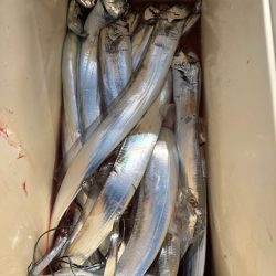 末広丸(熊本) 釣果