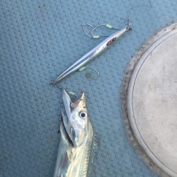 Monster Rush! 釣果