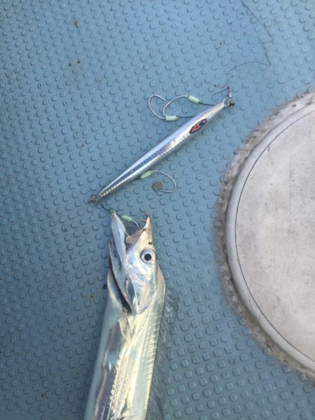 Monster Rush! 釣果