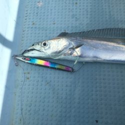 Monster Rush! 釣果