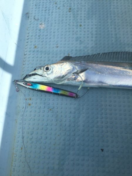 Monster Rush! 釣果