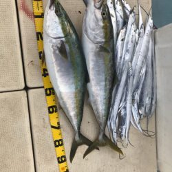 Monster Rush! 釣果