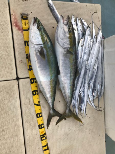 Monster Rush! 釣果