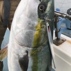 Monster Rush! 釣果