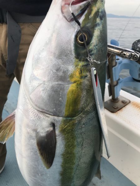 Monster Rush! 釣果