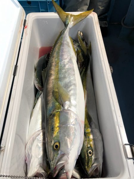 第二八坂丸 釣果