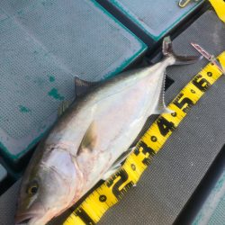 ＴＡＲＯＭＡＲＵ 釣果