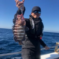 ＴＡＲＯＭＡＲＵ 釣果