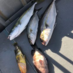 ＴＡＲＯＭＡＲＵ 釣果