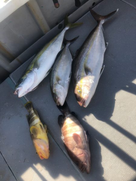 ＴＡＲＯＭＡＲＵ 釣果