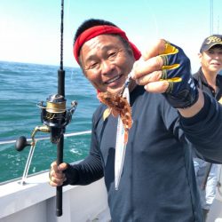 ビッグファイター 釣果