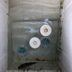 末広丸(熊本) 釣果