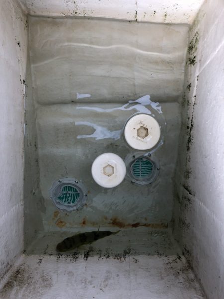 末広丸(熊本) 釣果