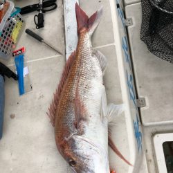 末広丸(熊本) 釣果