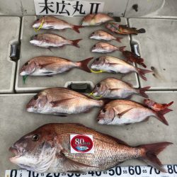 末広丸(熊本) 釣果