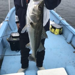 アマテラス 釣果