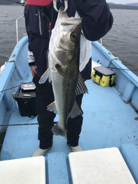 アマテラス 釣果