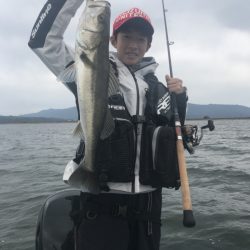 アマテラス 釣果