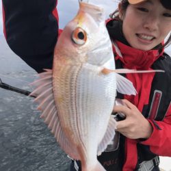 アマテラス 釣果