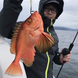 アマテラス 釣果