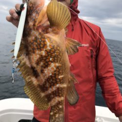 アマテラス 釣果