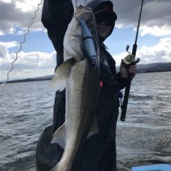 アマテラス 釣果