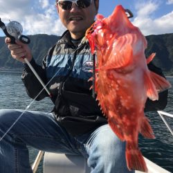 龍神丸(鹿児島) 釣果