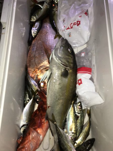 龍神丸(鹿児島) 釣果